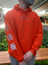 Load image into Gallery viewer, Gohan LIMITED.